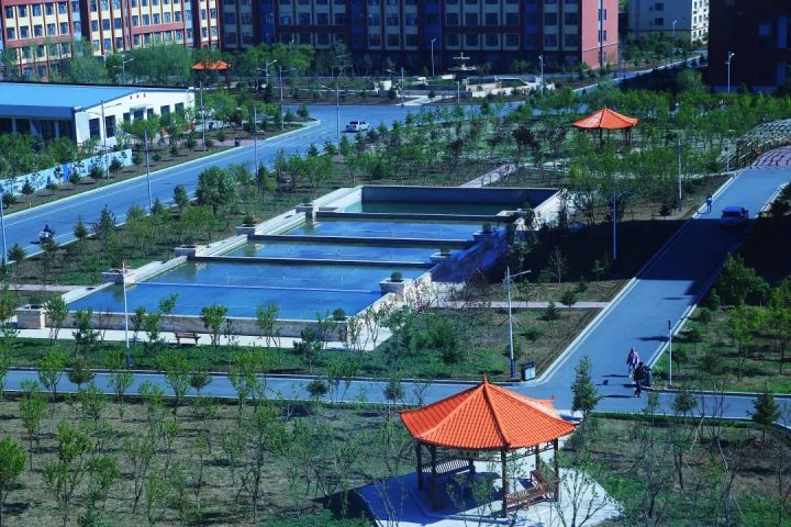 1621390522663636.jpg 20210519_101329_000.jpg