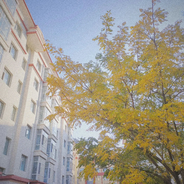 1603782315773152.jpg